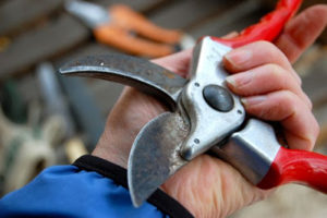 SharpeningSecaturs