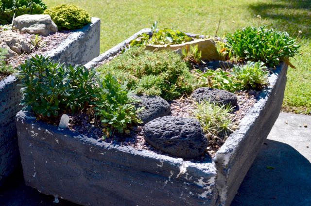 Making fish box troughs – Toronto Gardens