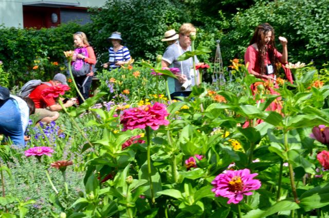 Bloggers, making like bees in the Hearts + Ivy garden