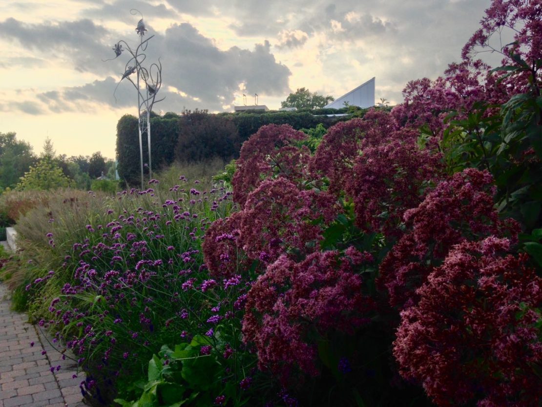 The sun is setting. Thanks to my iPhone's HDR feature, we can appreciate both sky and garden.