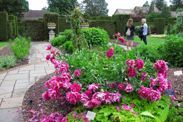 Formal gardens don t have to be stuffy Toronto Gardens
