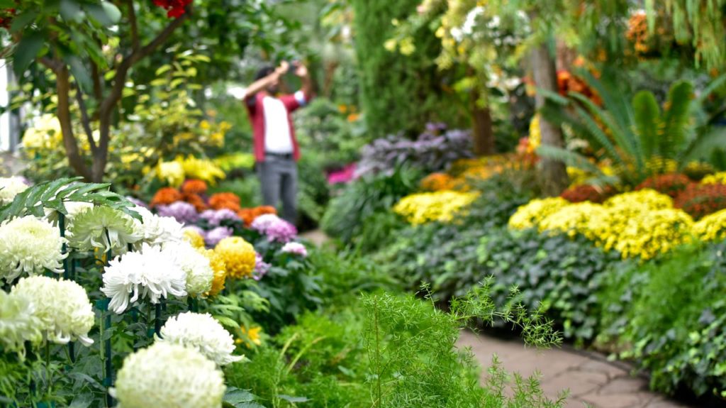 Allan Gardens Toronto