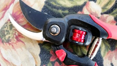 corona-flexdial-pruners