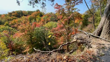 Bruce Trail near Dundas Ontario