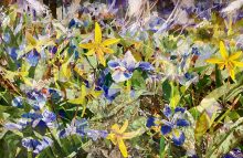 Floral mosaic by Canadian artist Katharine Harvey in Chester TTC Station