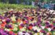 Colourful flowers at the Canadian Tulip Festival 2022 in Ottawa, Ontario